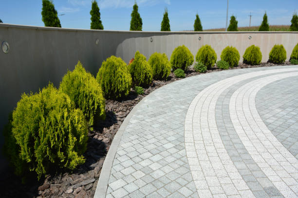 Best Brick Driveway Pavers  in Bloomingdale, IL